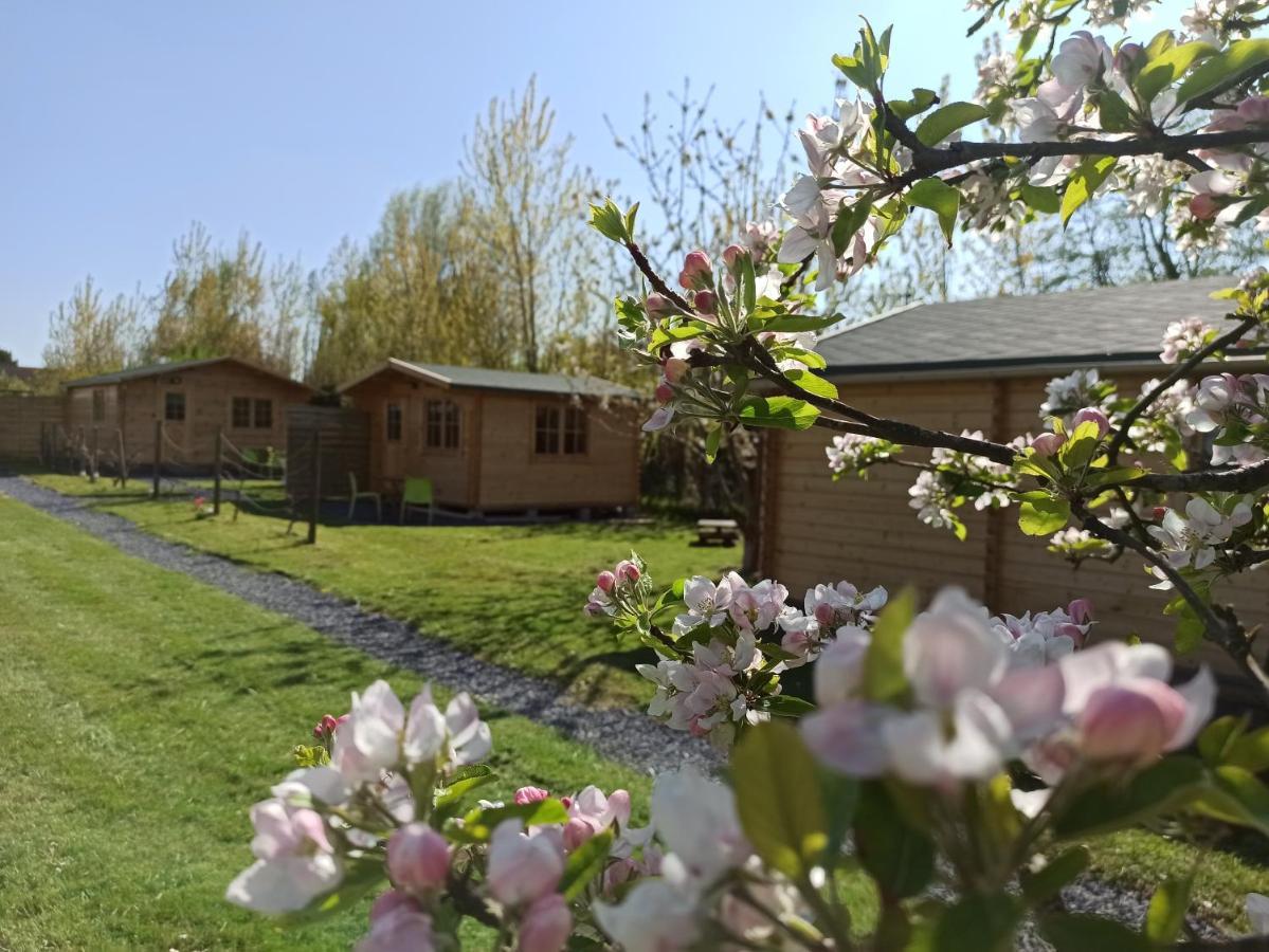 Gite Les Chalets Du Fliers Verton Meubles De Tourisme Classes 2 Etoiles Berck Zewnętrze zdjęcie